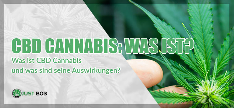 Was ist CBD Cannabis
