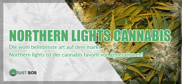 Wir stellen vor- Northern Lights Cannabis