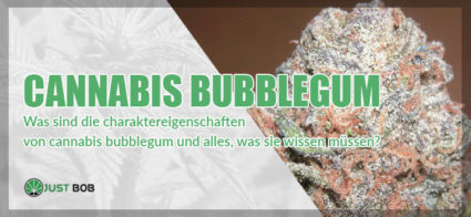 cannabis bubblegum