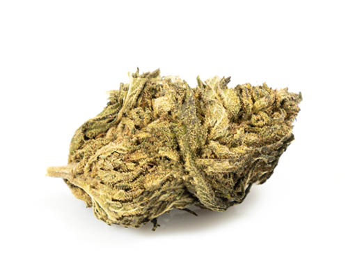 cbd-blüten-do-si-dos CBD blüten DO SI DOS - JustBob!