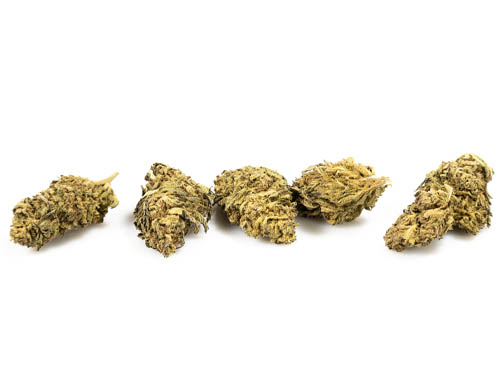 cbd-gras-do-si-dos CBD Gras blüten DO SI DOS - JustBob!