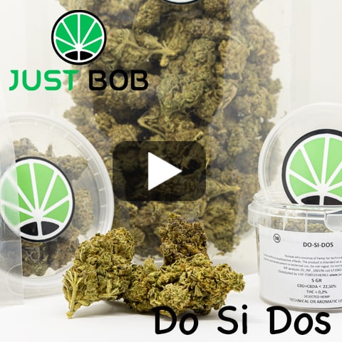 video-do-si-dos Do Si Dos