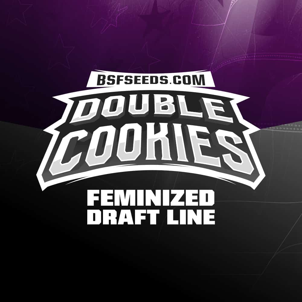 double-cookies-cannabis-samen-bestellen double-cookies-cannabis-samen-bestellen