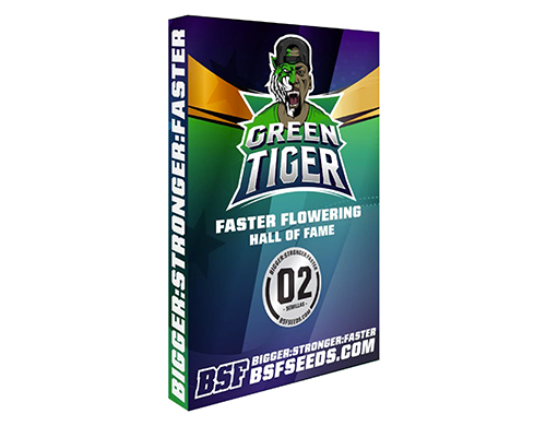 green-tiger-cannabis-samen green-tiger-cannabis-samen