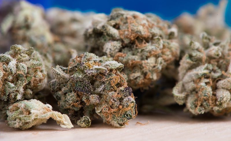 Marihuana Tisane: So bereiten Sie eine ausgezeichnete Infusion vor