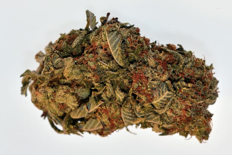die legale master kush marihuana