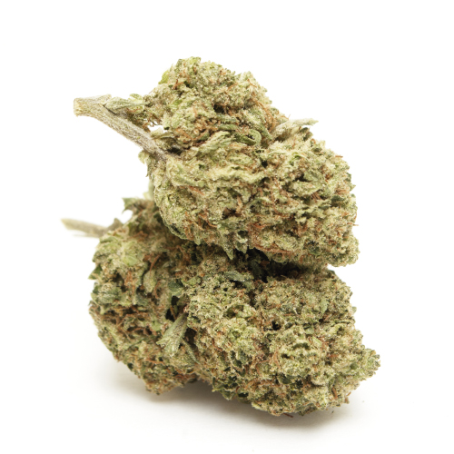 do-si-dos-cbd-cannabis-bluten do-si-dos-cbd-cannabis-bluten