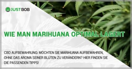 Wie man Marihuana optimal lagert