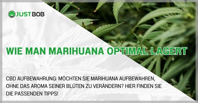 Wie man Marihuana optimal lagert