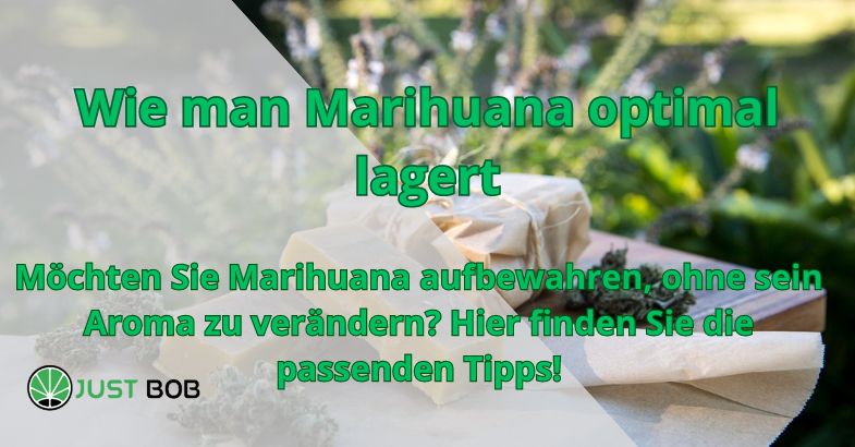 Wie man Marihuana optimal lagert