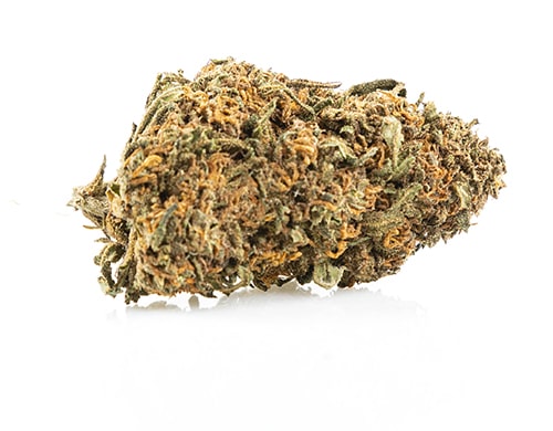 CBD Blüten der Sorte Sweet Berry