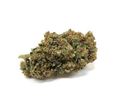 sweet-berry-cbd-bluten sweet-berry-cbd-bluten