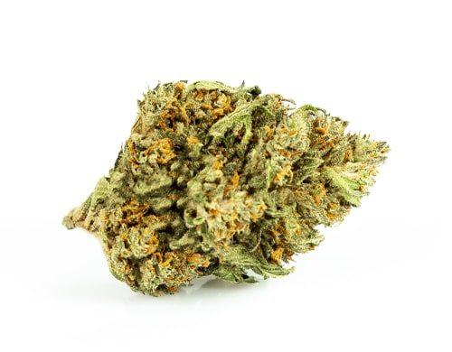 CBD Blüten der Sorte Sweet Berry