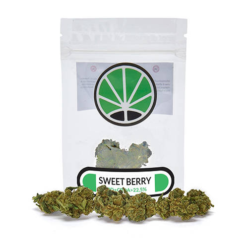sweetberry-cannabis-cbd-blumen