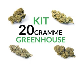 kit 20 greenhouse DE-min kit 20 gramme Greenhouse justbob.de