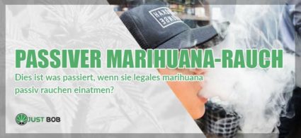 hat passiver marihuana rauch