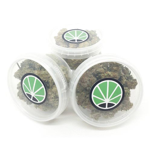 Kit-Weihnachten-Marihuana-Light Kit-Weihnachten-Marihuana-Light