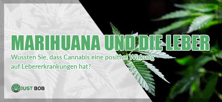 marihuana und die liber