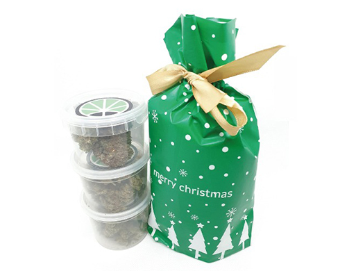 XMAS-KIT-15-GR XMAS-KIT-15-GR