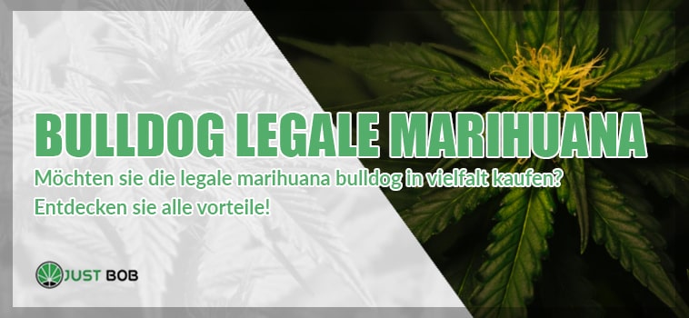 die legale marihuana bulldog