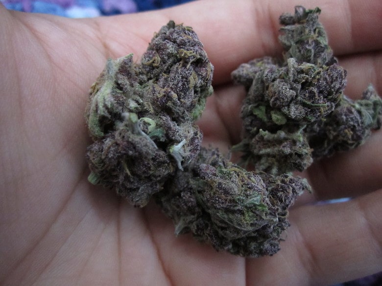Purple Marihuana und was die effekte von purple cbd marihuana sind