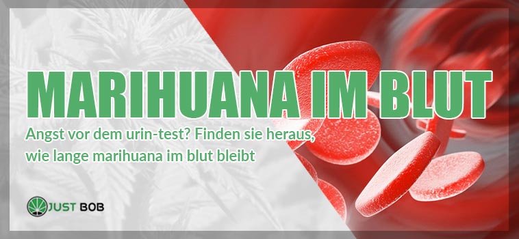 marihuana im blut