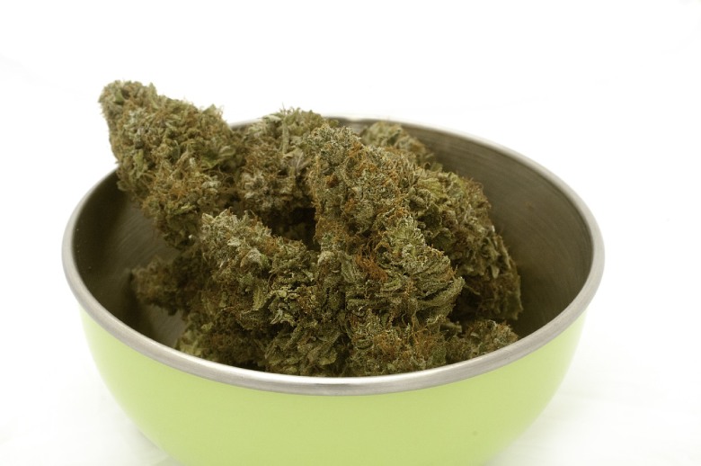 Der Anbau von legalem Marihuana
