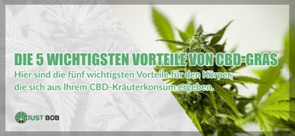 Die 5 wichtigsten Vorteile von CBD Gras