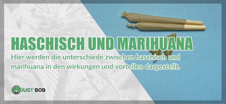 Haschisch und Marihuana