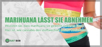 Marihuana cbd lässt Sie abnehmen