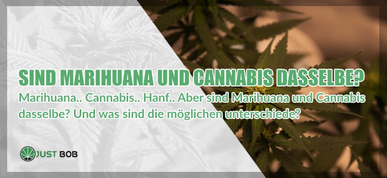 Marihuana und leichtes Cannabis