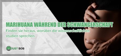 Marihuana während der Schwangerschaft