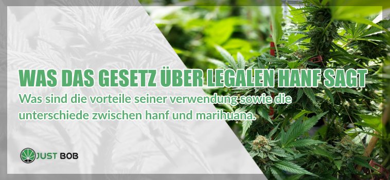 gesetz über legalen hanf