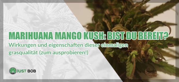 legales cannabis Mango Kush