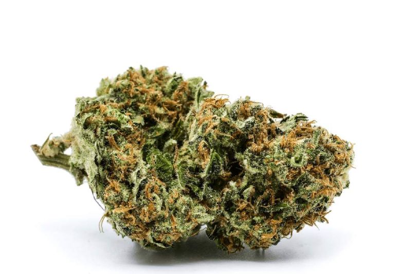 legales white widow marihuana cbd