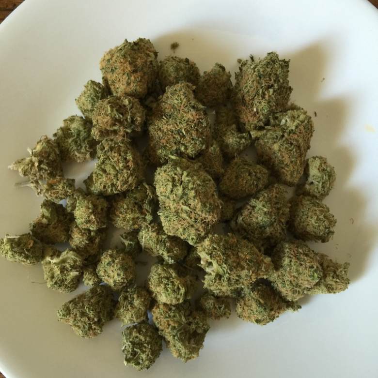 marihuana cbd blumen