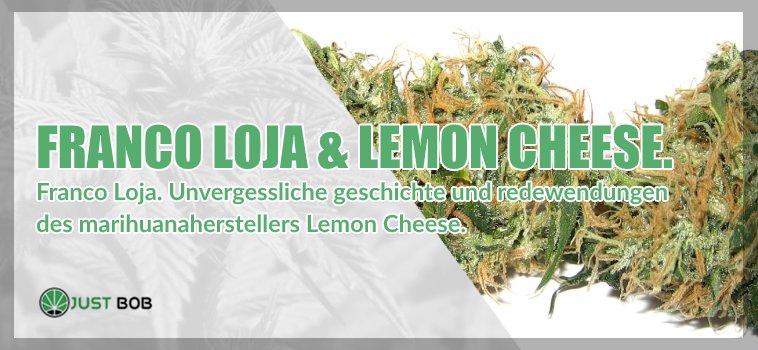 Franco Loja Lemon Cheese cbd