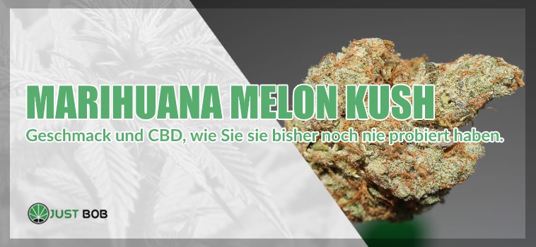 cbd-blueten-Melon-Kush
