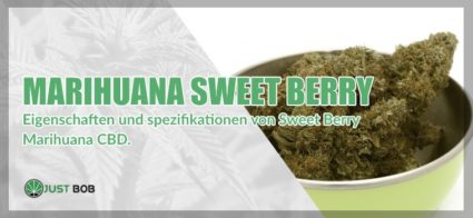 Marihuana cbd Sweet Berry