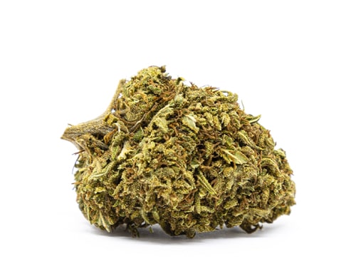 Orange Bud Cannabis Orange Bud Bluten Cannabis