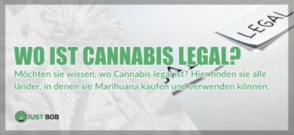 staaten cannabis cbd