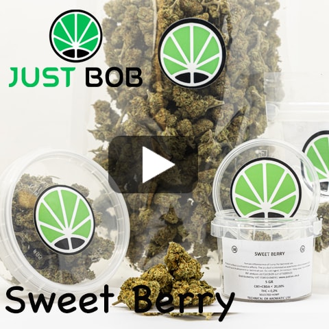 Sweet Berry Video Sweet Berry Video