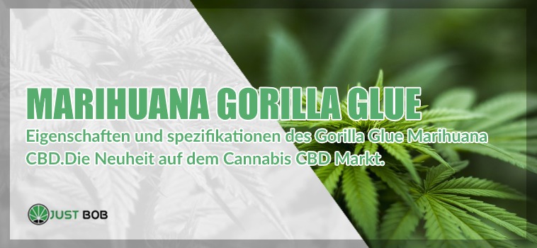 cannabis cbd Gorilla Glue