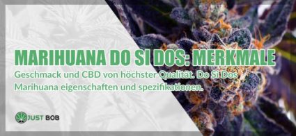 cannabis licht do si dos