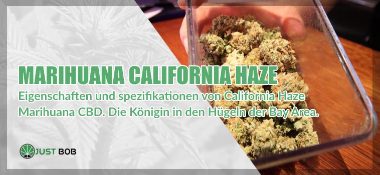 legalem-hanf-california-haze