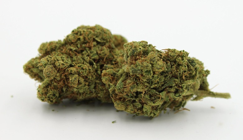 leicht marihuana california haze