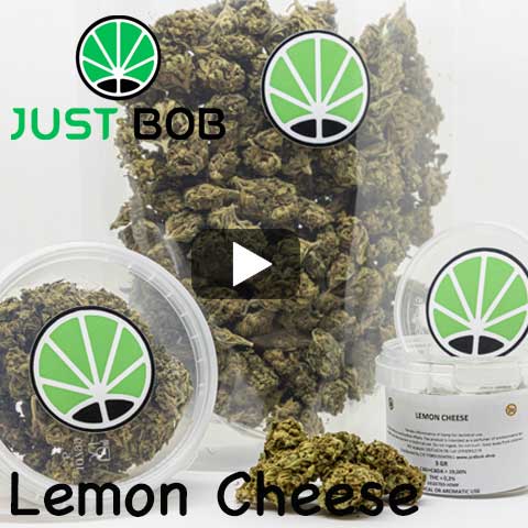 lemon-cheese-video lemon cheese video