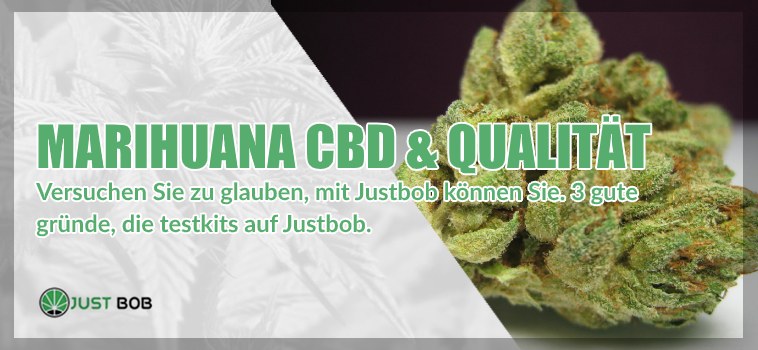 cbd-gras-justbob