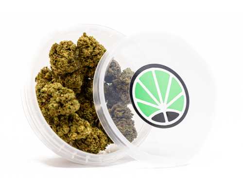 master-kush-cbd-blumen-cannabis-marihuana master kush cbd blumen cannabis marihuana
