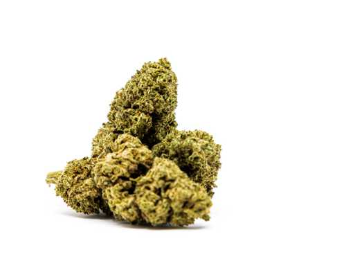 master-kush-cbd-bluten-marihuana master kush cbd bluten marihuana